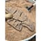 Yellow Door Dig & Discover Pliosaur & Stegosaurus Dinosaur Skeletons Set